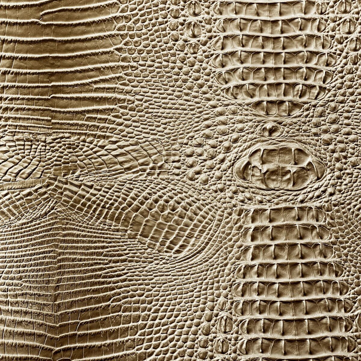 Amazon 3D Gator - Beige