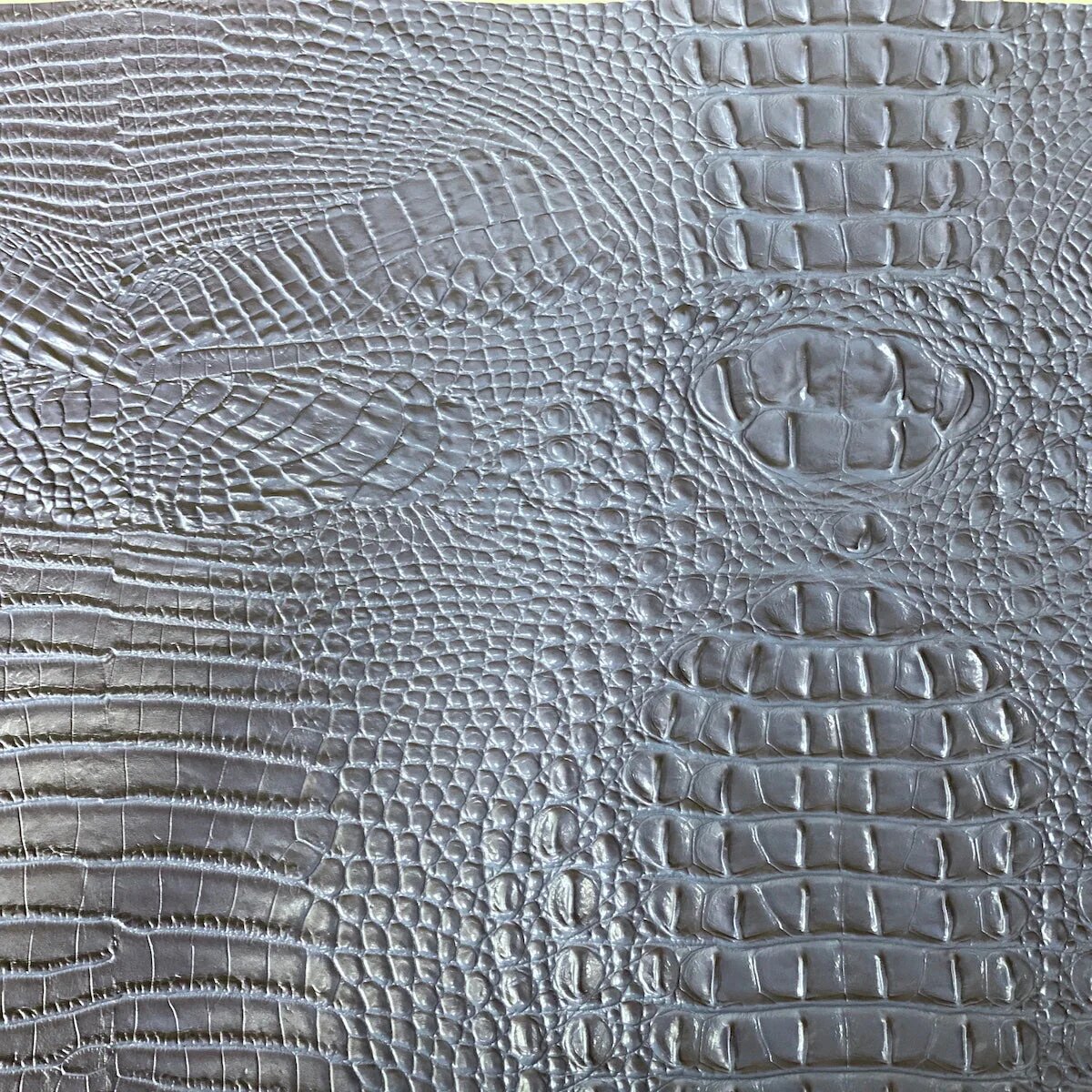 Amazon 3D Gator - Blue