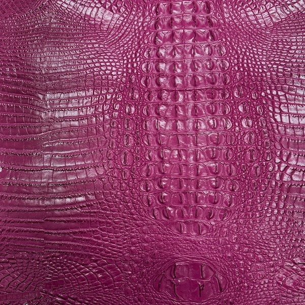 Amazon 3D Gator - Fusia