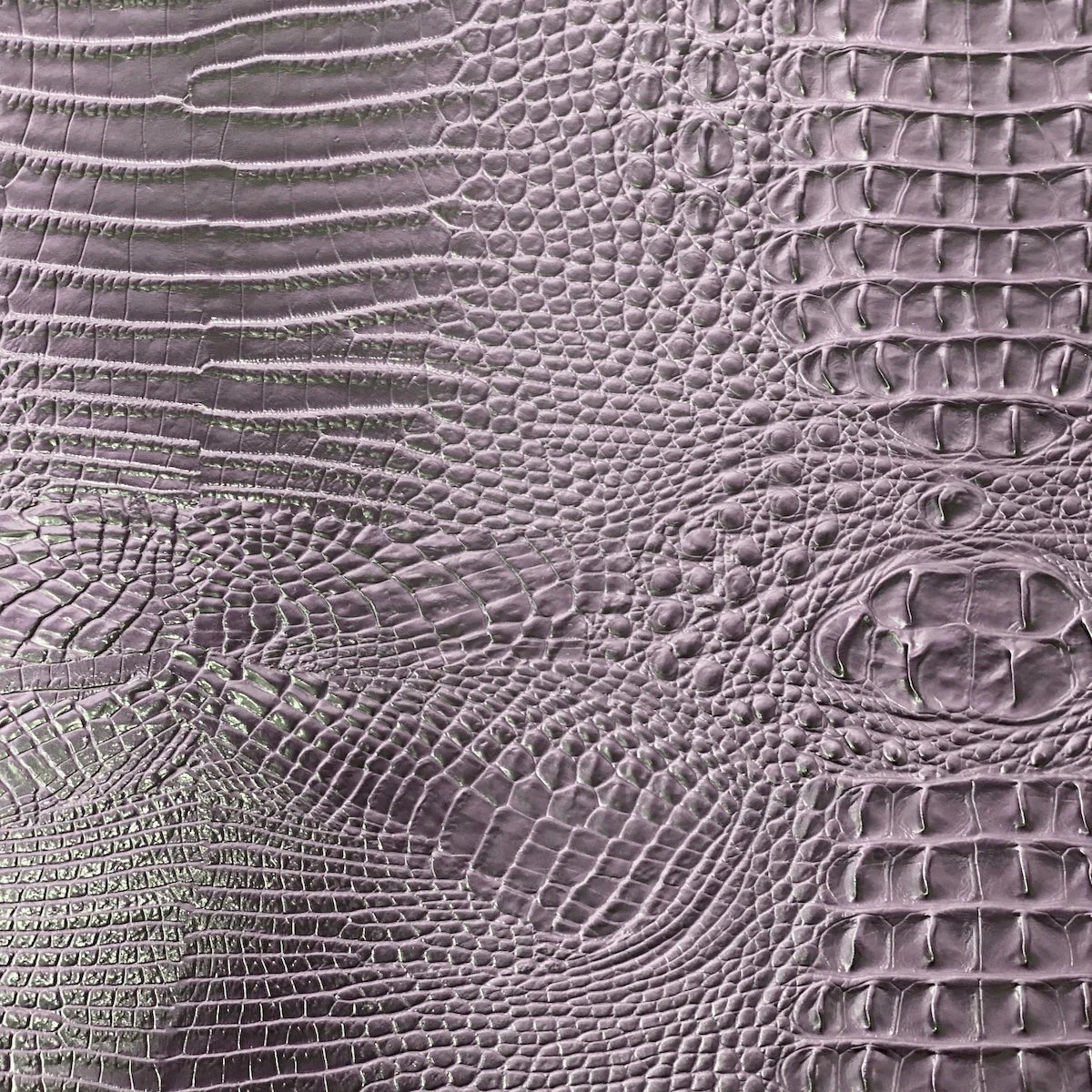 Amazon 3D Gator - Purple