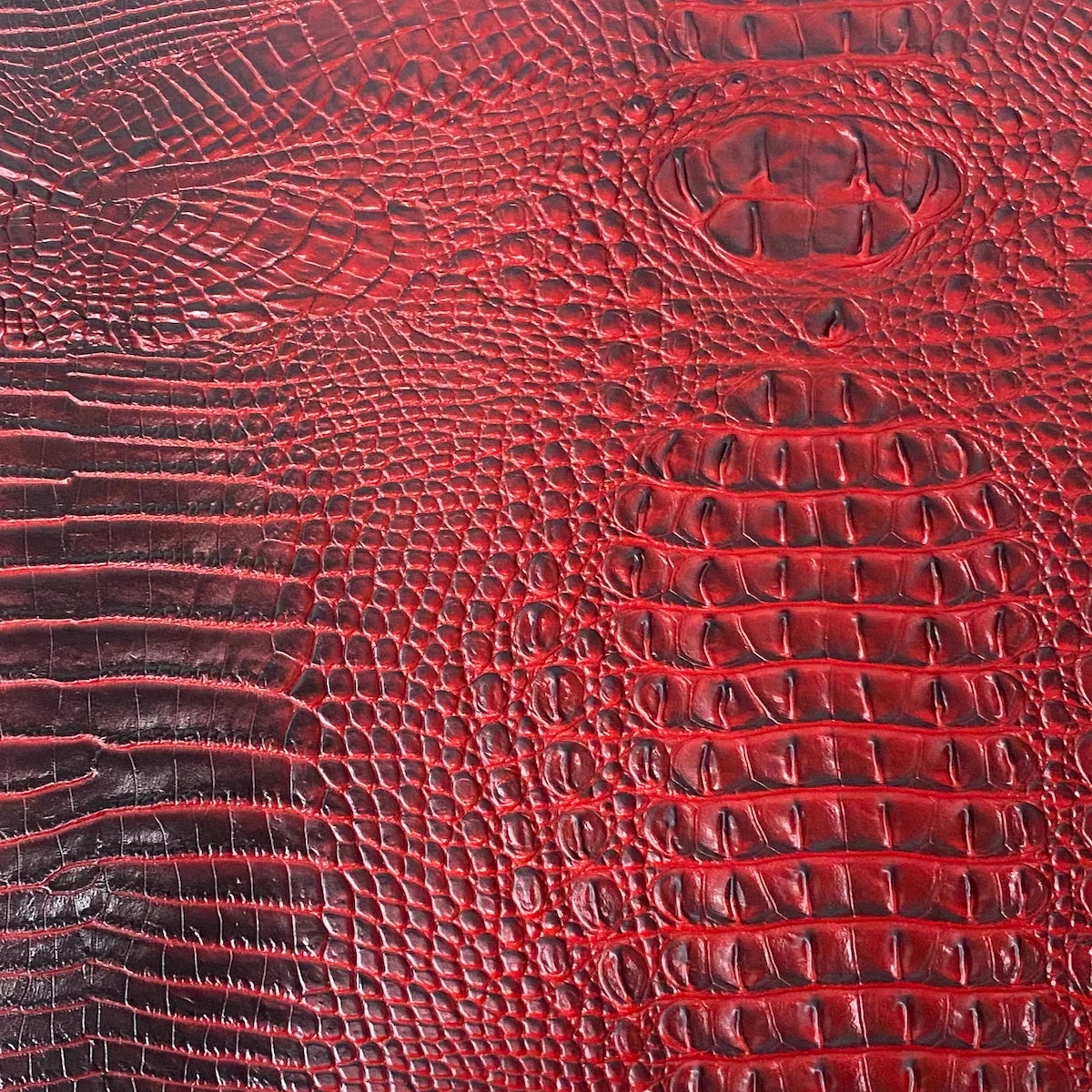 Amazon 3D Gator - Red
