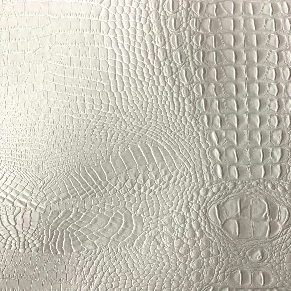 Amazon 3D Gator - White