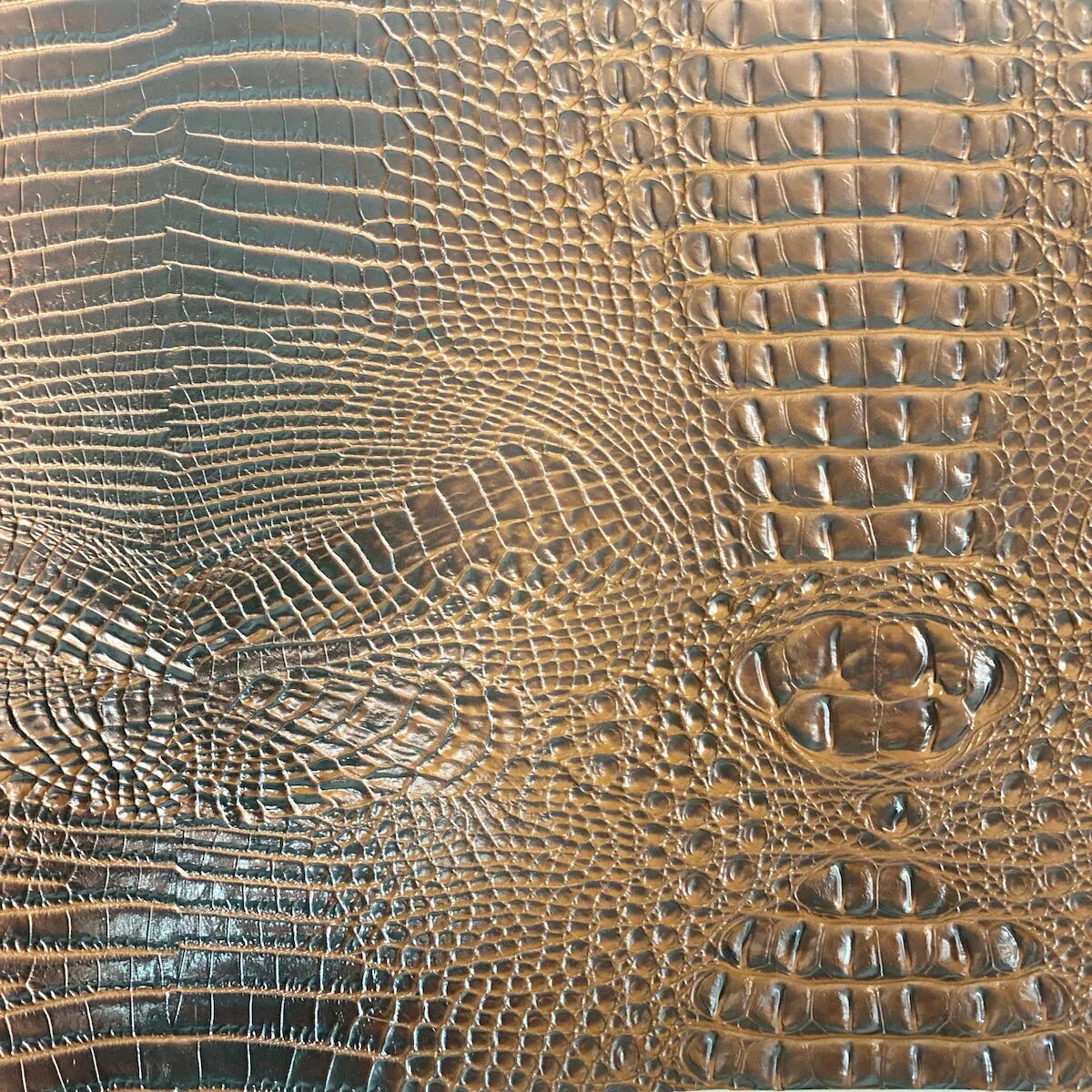 Amazon 3D Gator - Brown
