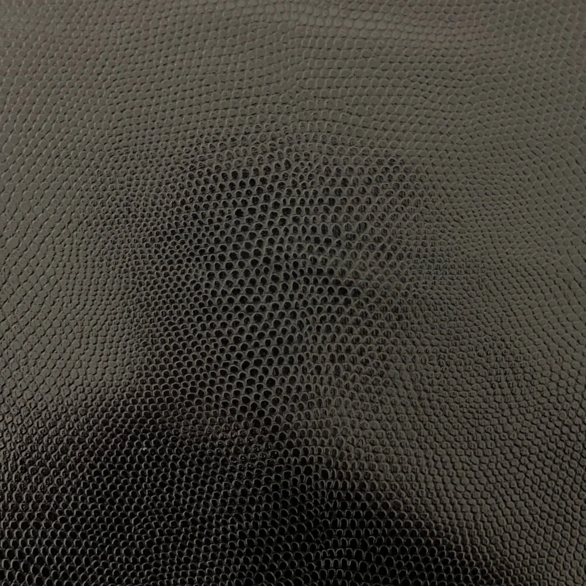 Anaconda Snakeskin - Black