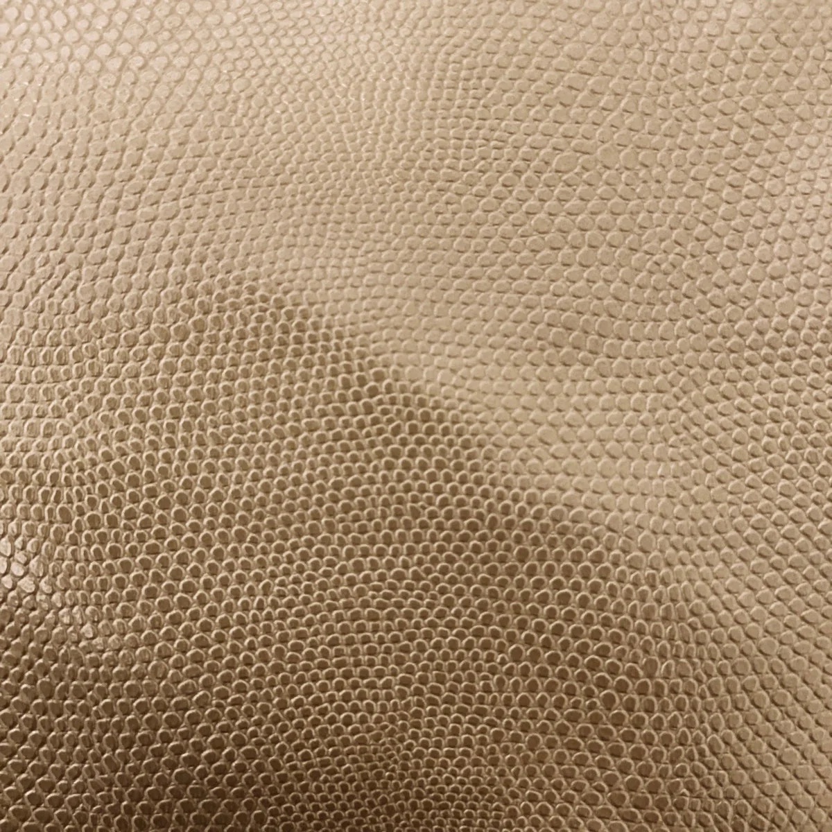 Anaconda Snakeskin - Gold