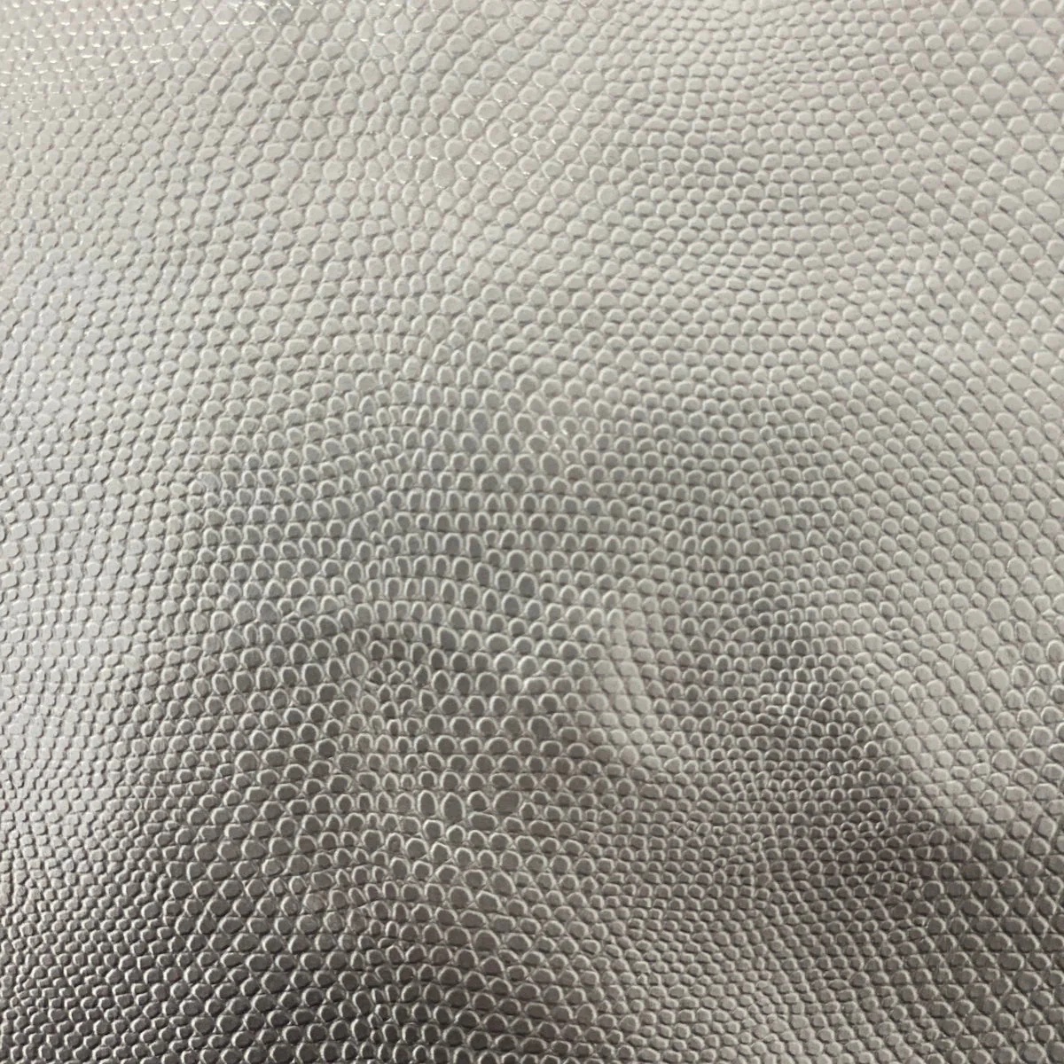 Anaconda Snakeskin - Silver