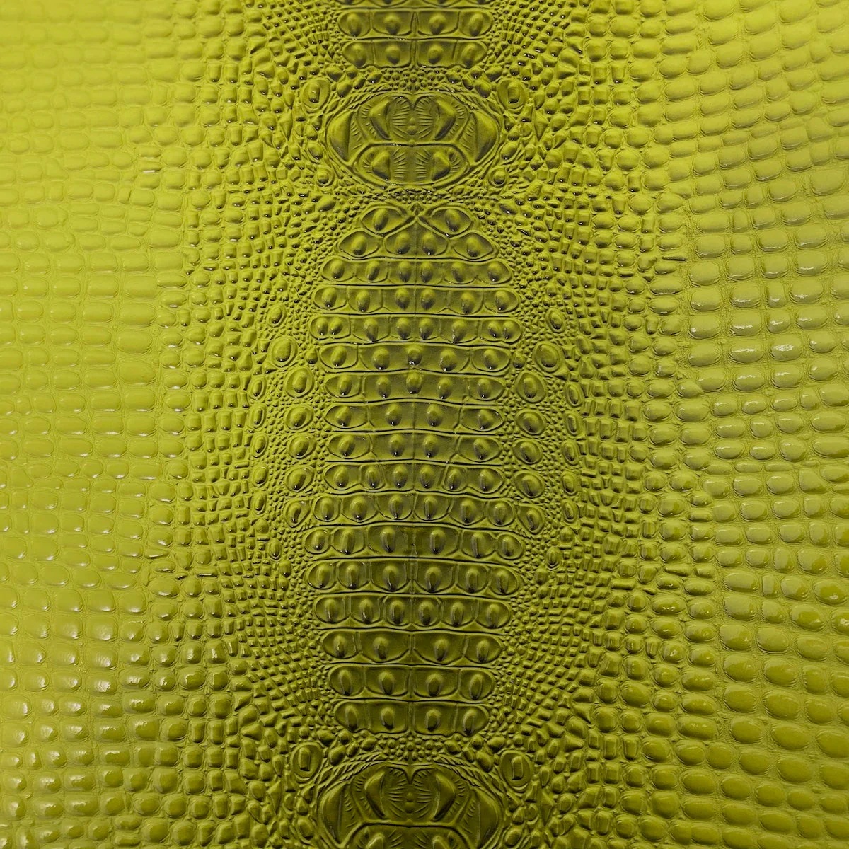 Aussie 3D Gator - Lime Green