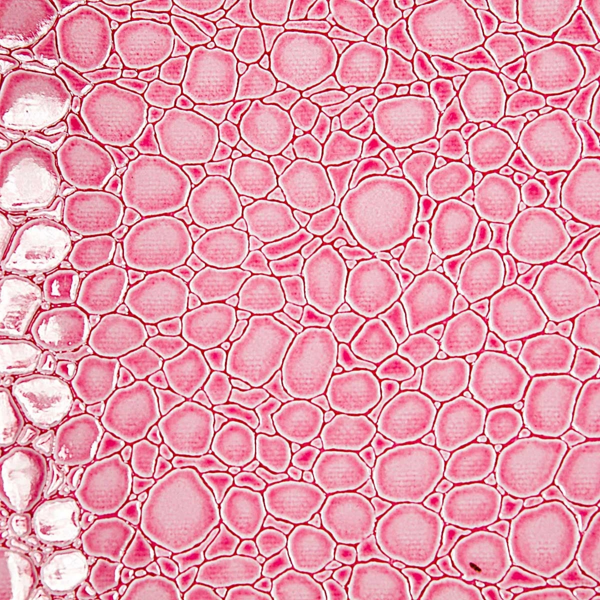 Faux Crocodile - Light Pink