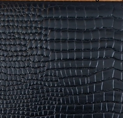 Black Gator