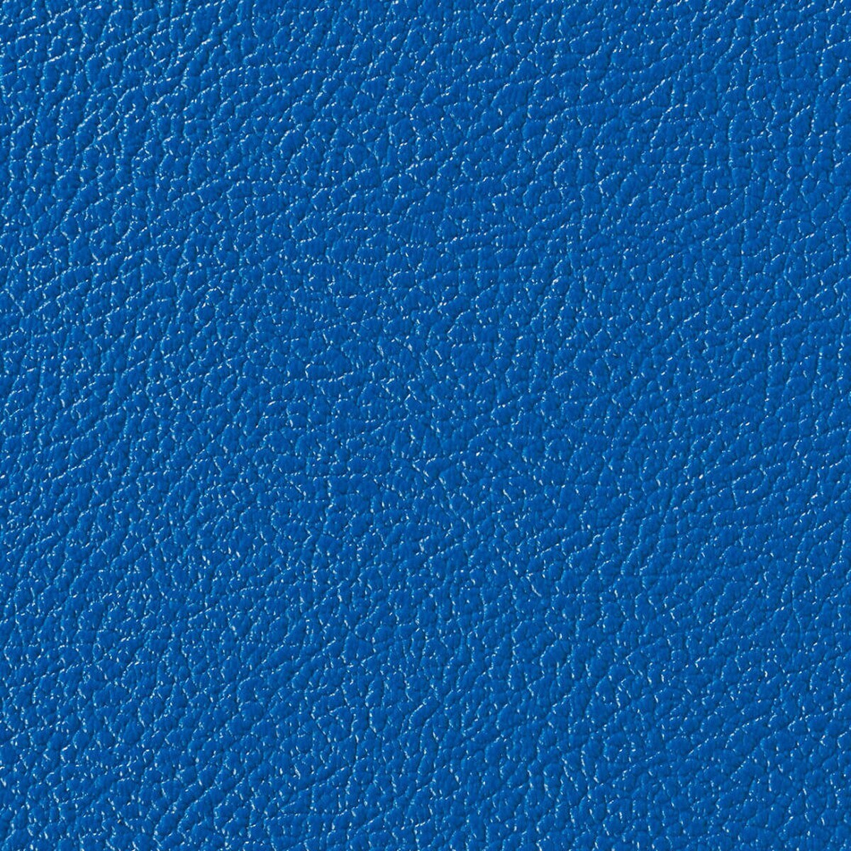 Mega Man Regency Blue